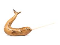 Narwhal