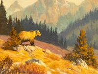 High Country Wanderer