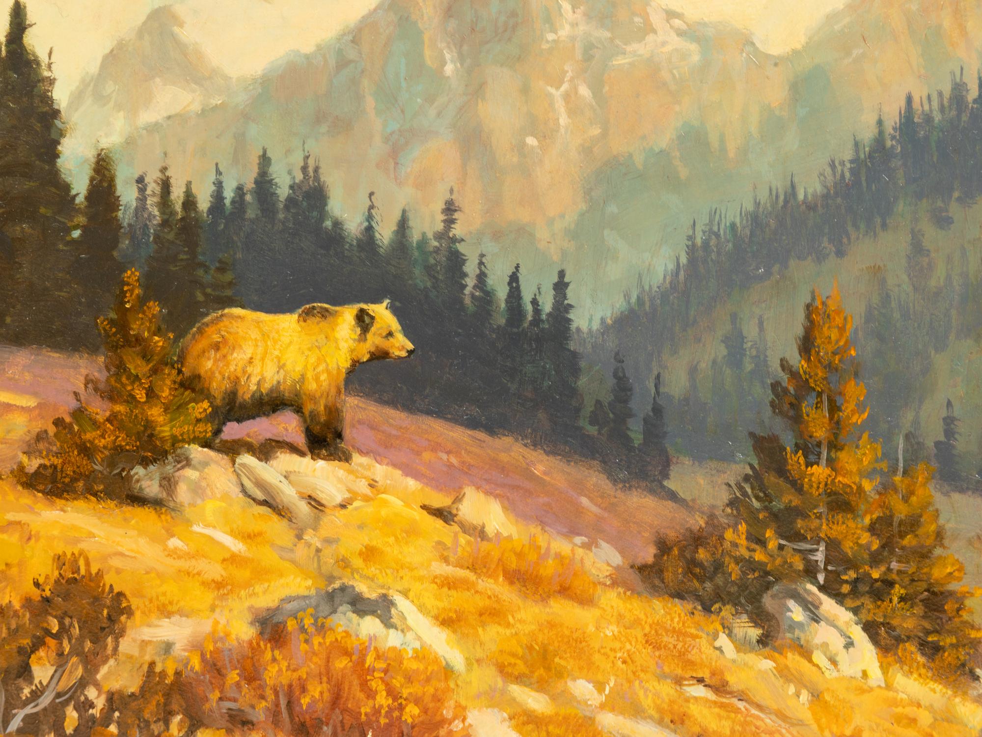 High Country Wanderer