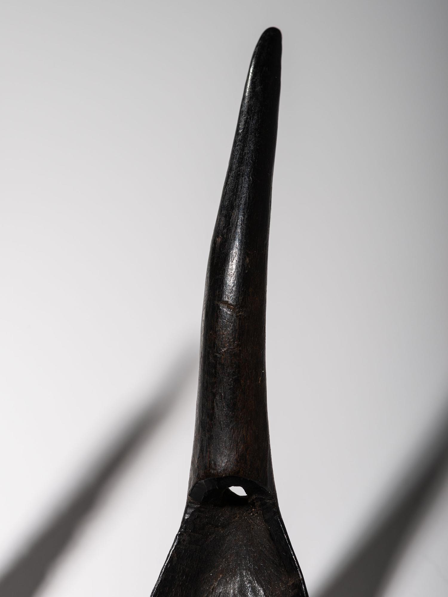 Collection of Northwest Coast Carved Totemic Spoons