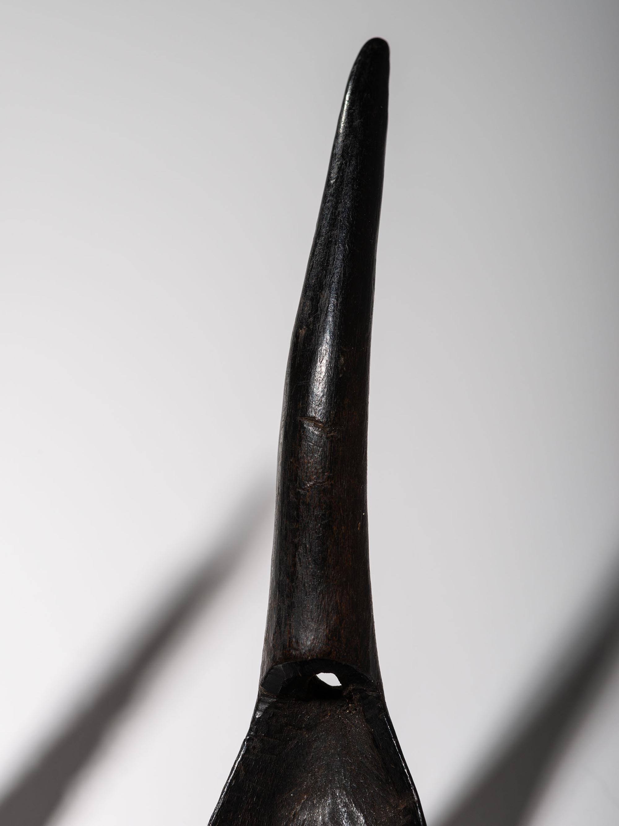 Collection of Northwest Coast Carved Totemic Spoons