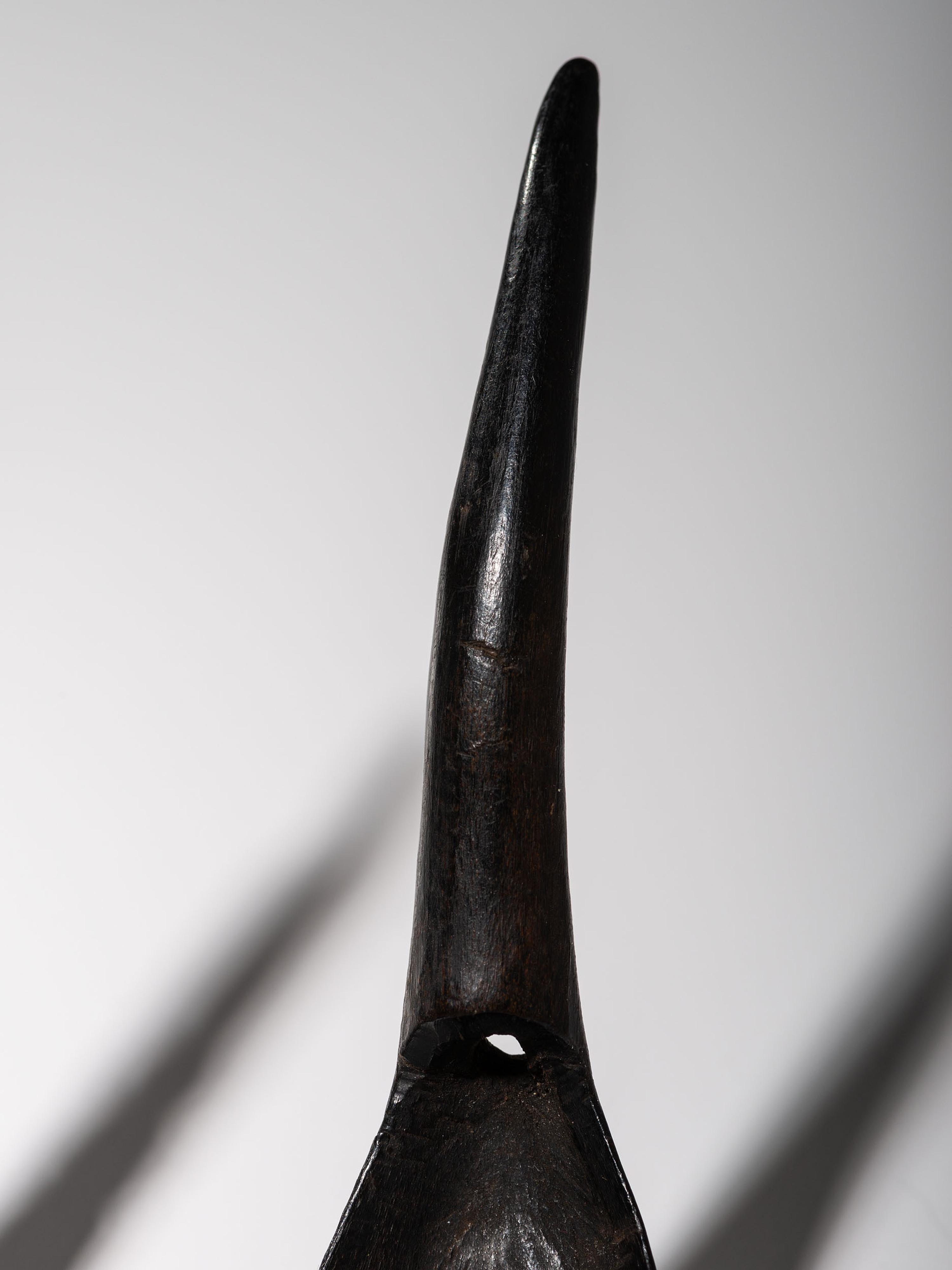 Collection of Northwest Coast Carved Totemic Spoons