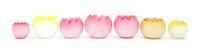 Seven Victorian Mother-of-Pearl Satin Glass Rose Bowls Height of tallest 5 1/4 inches — 19TH CENTURY