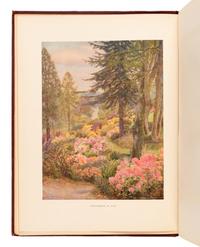 [NATURAL HISTORY]. MILLAIS, John Guille (1865-1931). Rhododendrons and the Various Hybrids . First and Second Series. London: Longmans, Green, & Co., 1917, 1924.