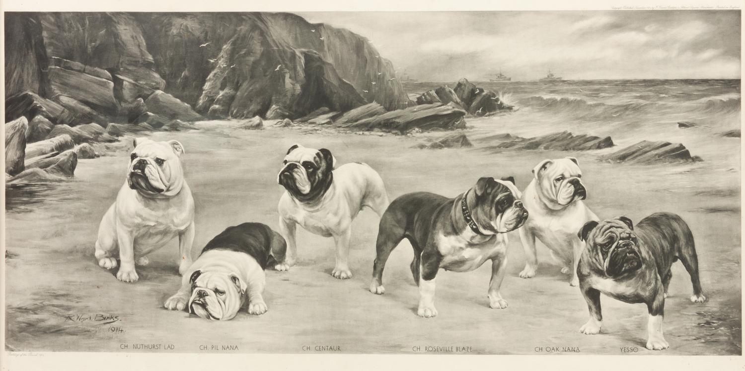 Two Prints depicting Bulldogs Largest: 17 1/4 x 30 3/4 inches.