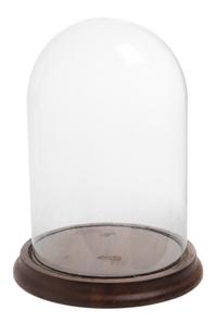 An American Glass Display Dome Height 12 1/2 inches.