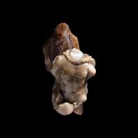 A Roman Chalcedony Fragment of Ganymede and the Eagle