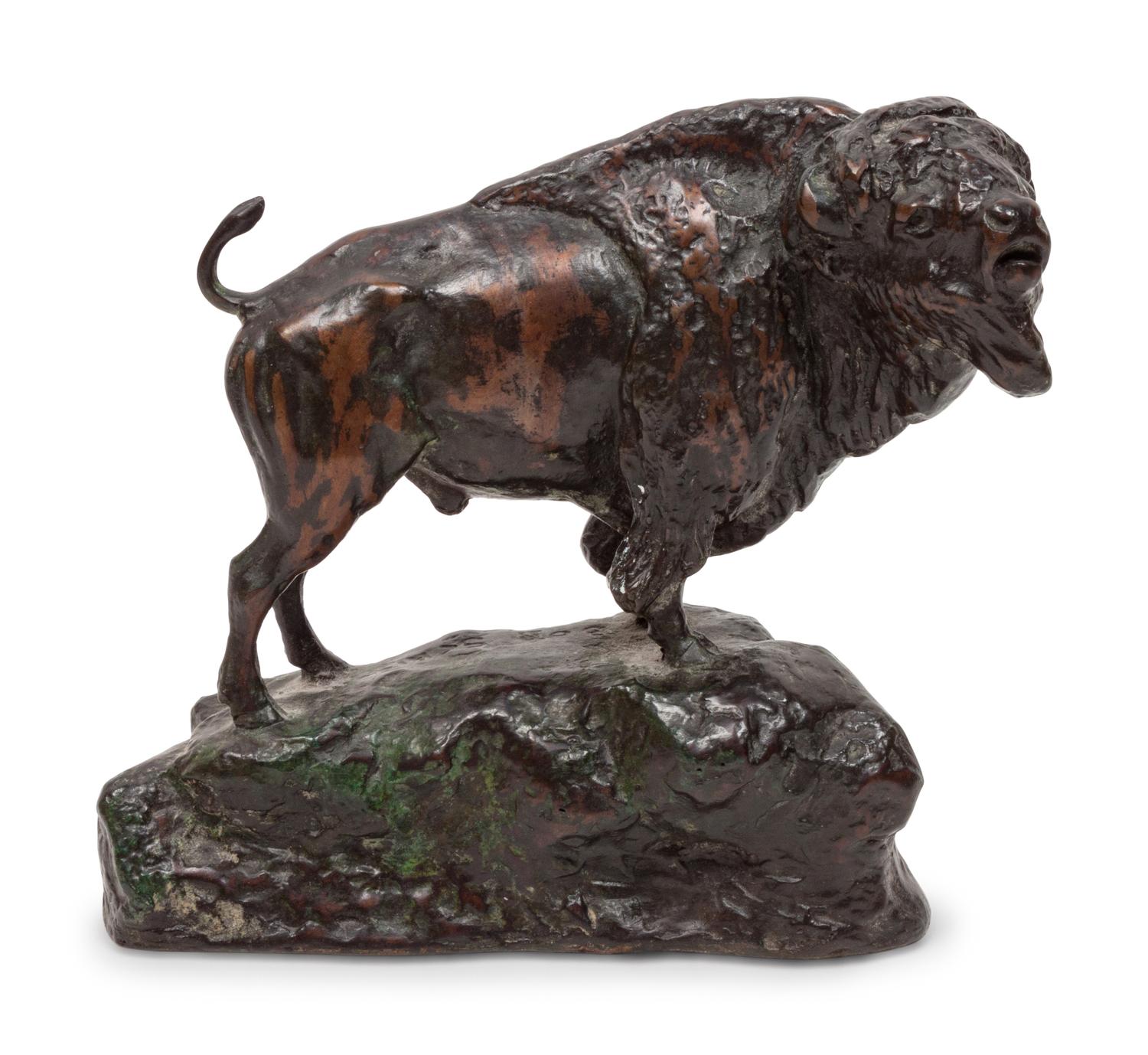 Bison