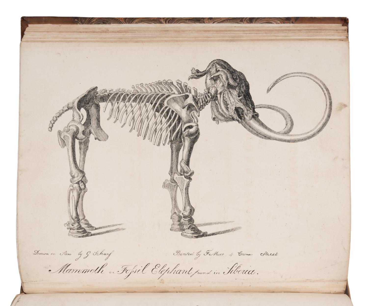 [NATURAL HISTORY] -- [JARDINE, William, Sir (1800-1874), his copy]. A sammelband of 14 offprints by various authors, an autograph letter, and a drawing, collected by William Jardine, including: