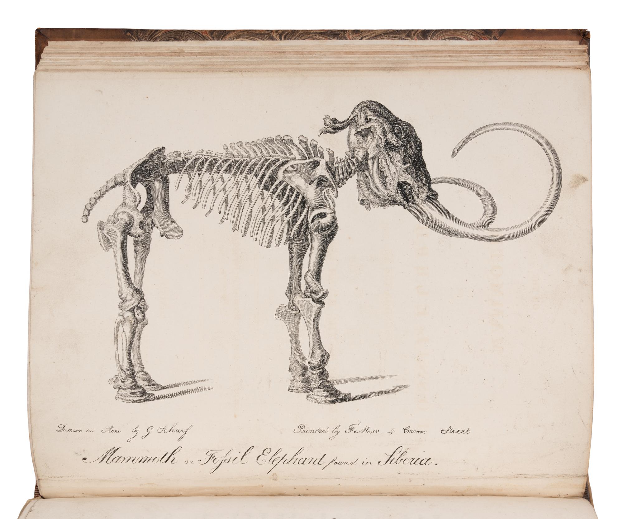 [NATURAL HISTORY] -- [JARDINE, William, Sir (1800-1874), his copy]. A sammelband of 14 offprints by various authors, an autograph letter, and a drawing, collected by William Jardine, including:
