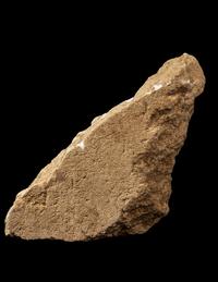 A Tarentine Limestone Fragment