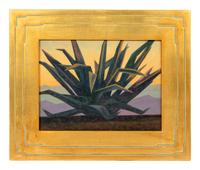 Desert Cactus