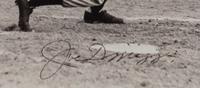 A Joe DiMaggio Signed Autograph Pinnacle Baseball Cards Display and Yogi Berra Signed Baseball,