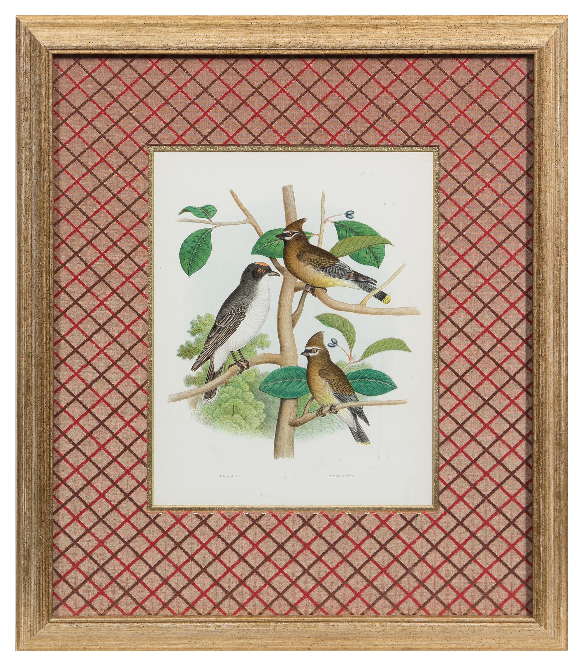 Two Ornithological Prints 10 5/8 x 8 3/8 inches (visible).