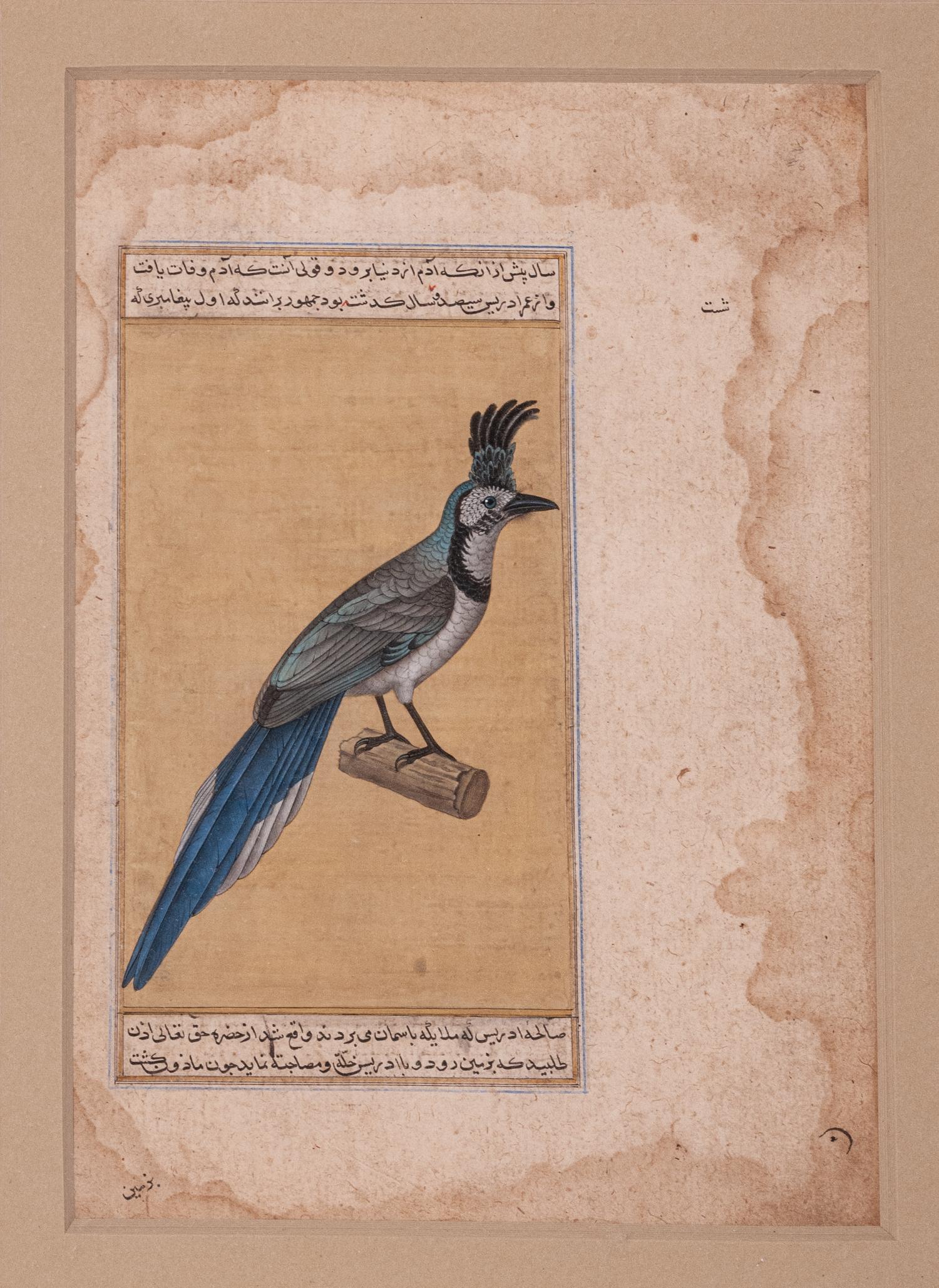 Seven Islamic Paintings