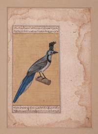 Seven Islamic Paintings