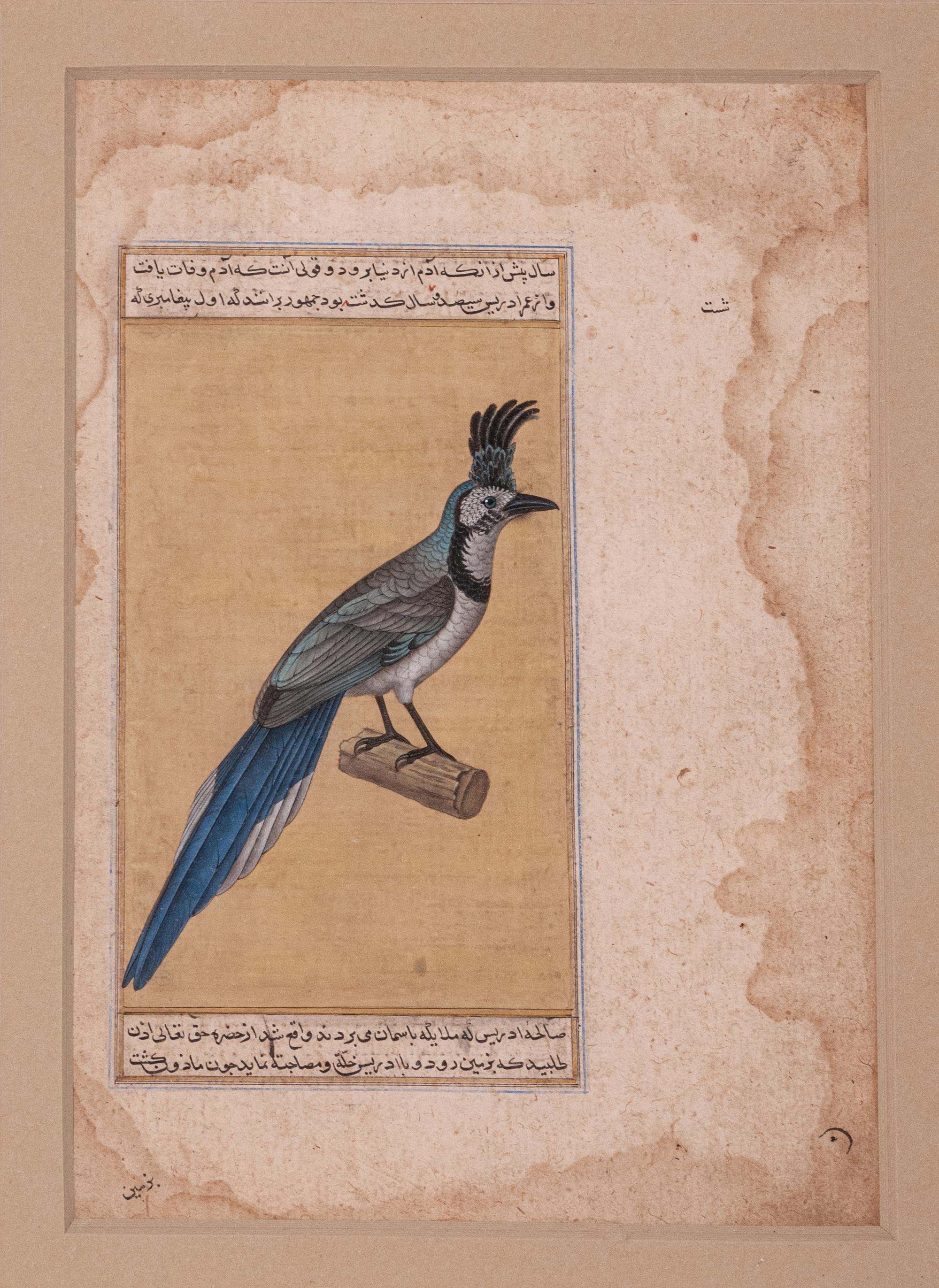 Seven Islamic Paintings