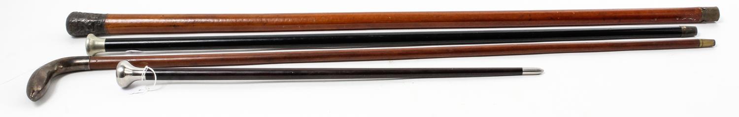 A Group of Four Canes Height of tallest 37 1/2 inches.