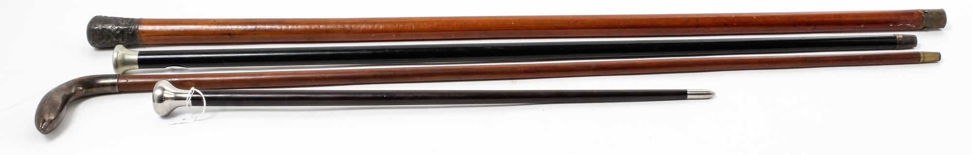 A Group of Four Canes Height of tallest 37 1/2 inches.