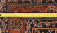 A Malayer Runner