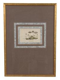 A Collection of Twelve Botanical Engravings Largest framed dimensions 27 x 9 inches. — 19TH/20TH CENTURY