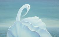 Swan