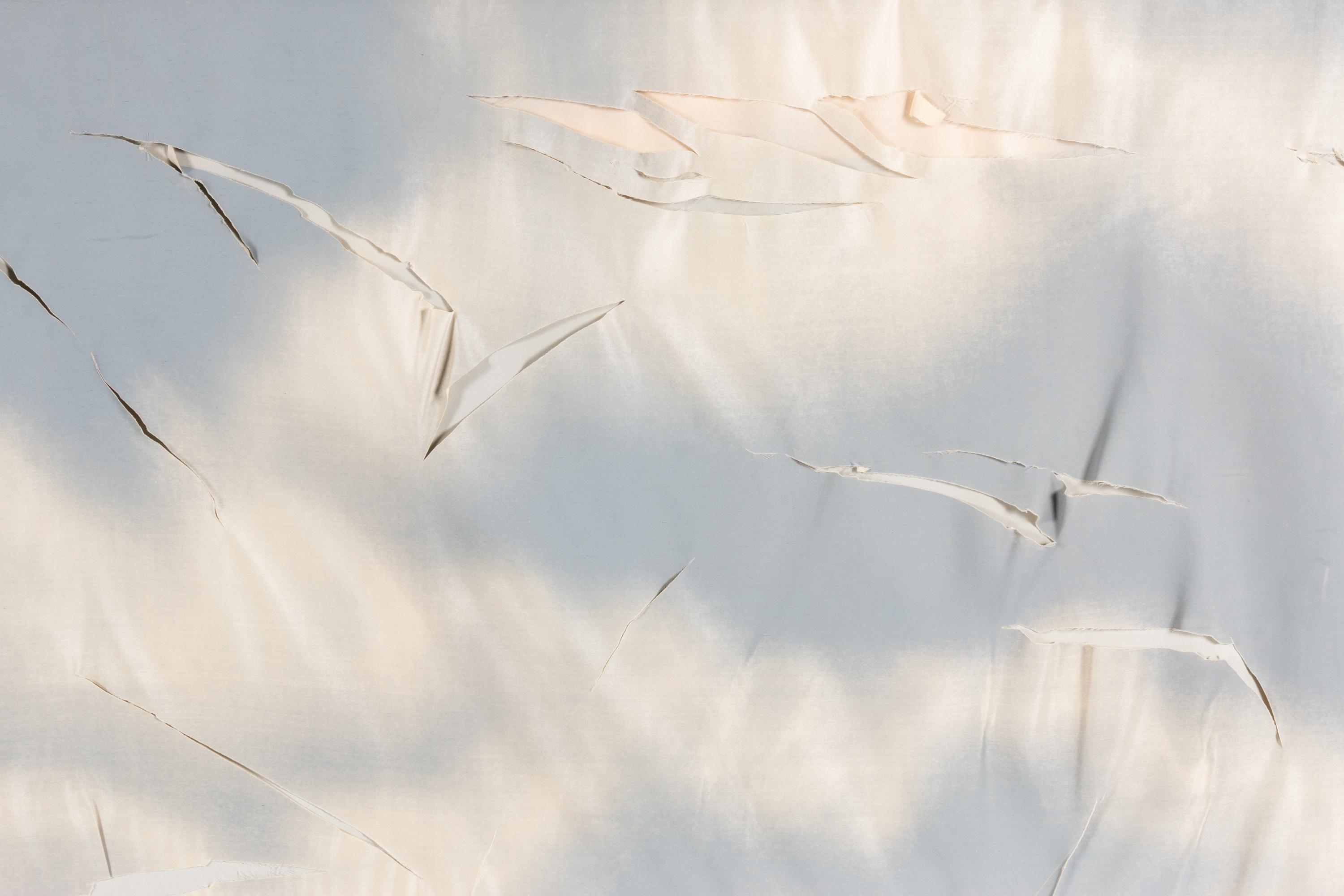 Untitled from Wash and Tear Series