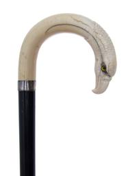 An Ivory Handled Cane, Width of handle 5 x length overall 35 1/4 inches.