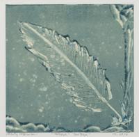 Three Works: Full Moon Owl, 2011; Father's Feather, 2010; Black Heart , 2010