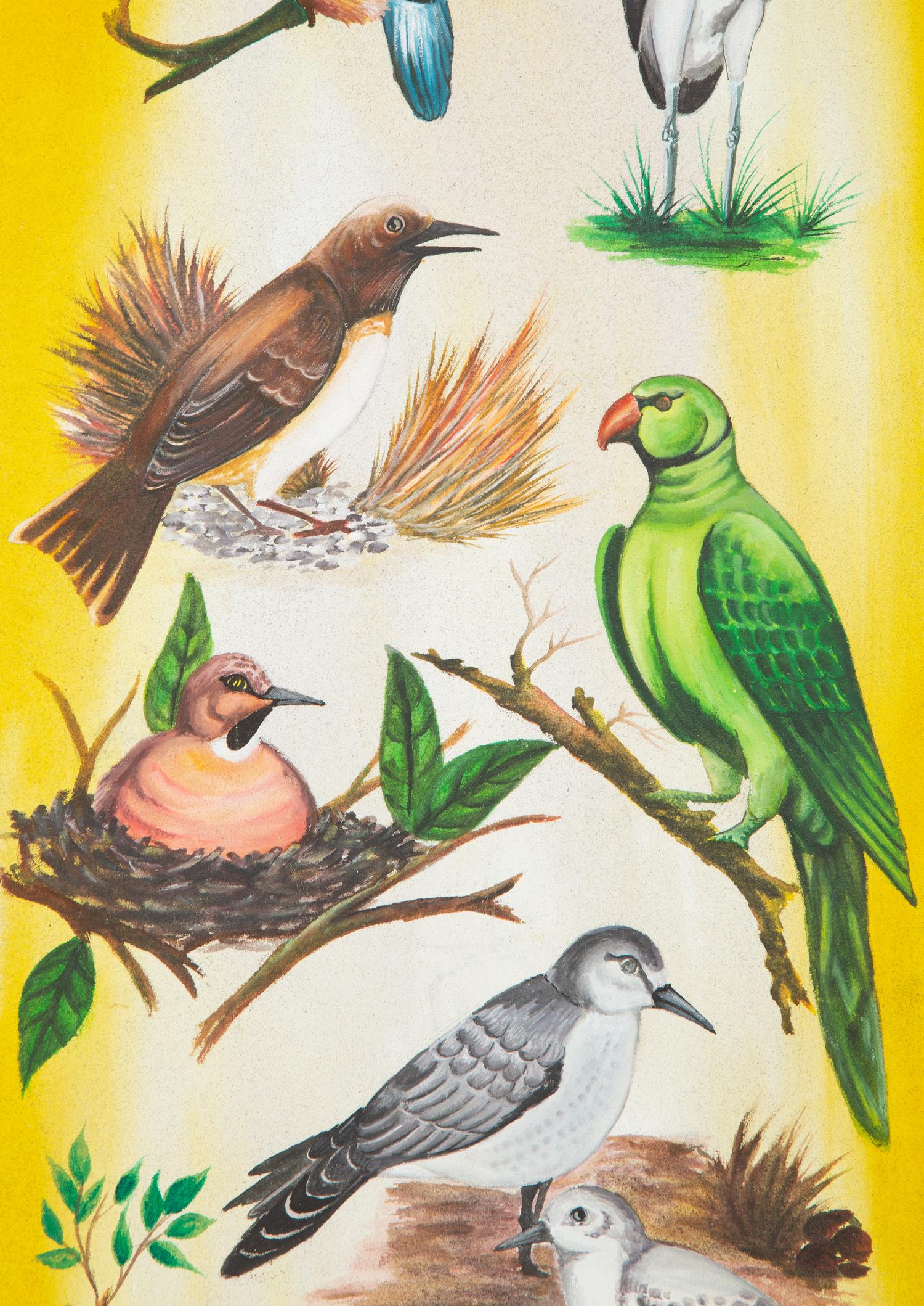Various Birds on Branches