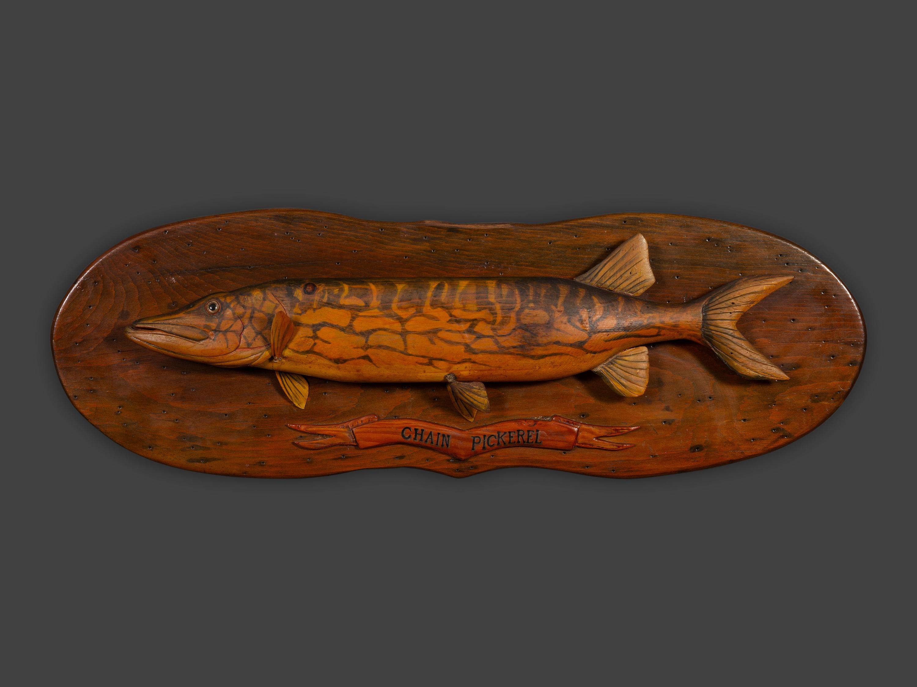 Three Mounted Fish Trophies