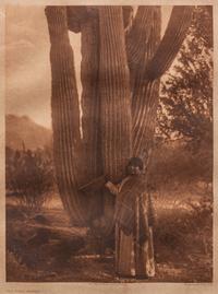 The Pima Woman , from Copyright Photograph 1907 by Edward S. Curtis
