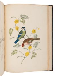 BROOKSHAW, George (1751-1823). Groups of Flowers, Drawn and Accurately Coloured after Nature, with Full Directions for the Young Artist –Groups of Fruit –Six Birds . London: Thomas McLean; printed by Turner and Hadley, Minerva Press, 1819.