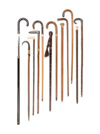 A Collection of Canes