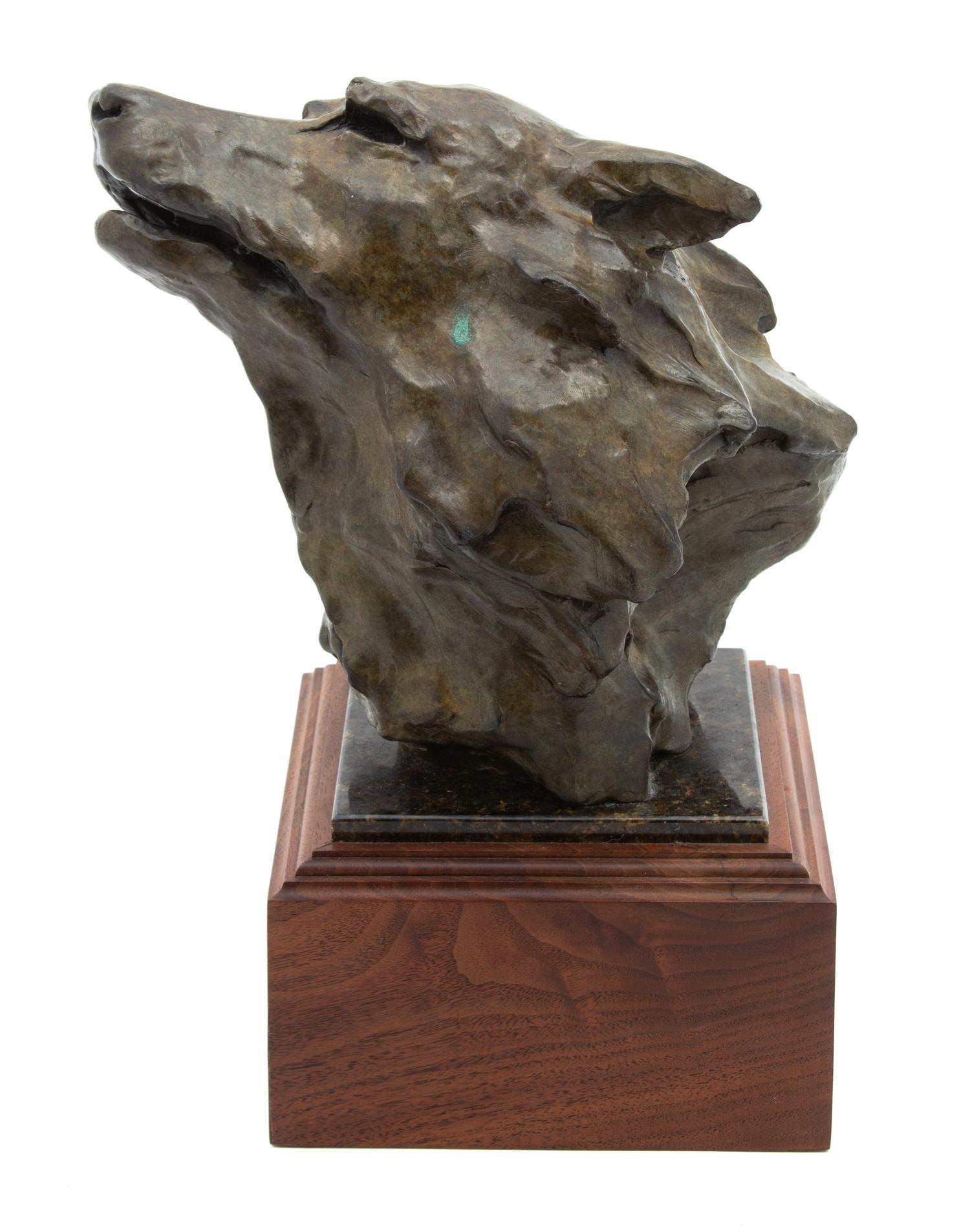 Sherry Sander, American, b. 1957, Wolf Bust