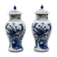 A Pair of Chinese Blue and White Porcelain Lidded Jars — 19TH CENTURY
