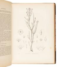 GRAY, Asa (1810-1888). Plantae Wrightianae Texano-Neo-Mexicanae: An Account of a Collection of Plants made by Charles Wright in an expedition from Texas to New Mexico… Washington City: Smithsonian Institution, March 1852-February 1853.
