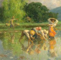 Workers in Rice Field , 1952