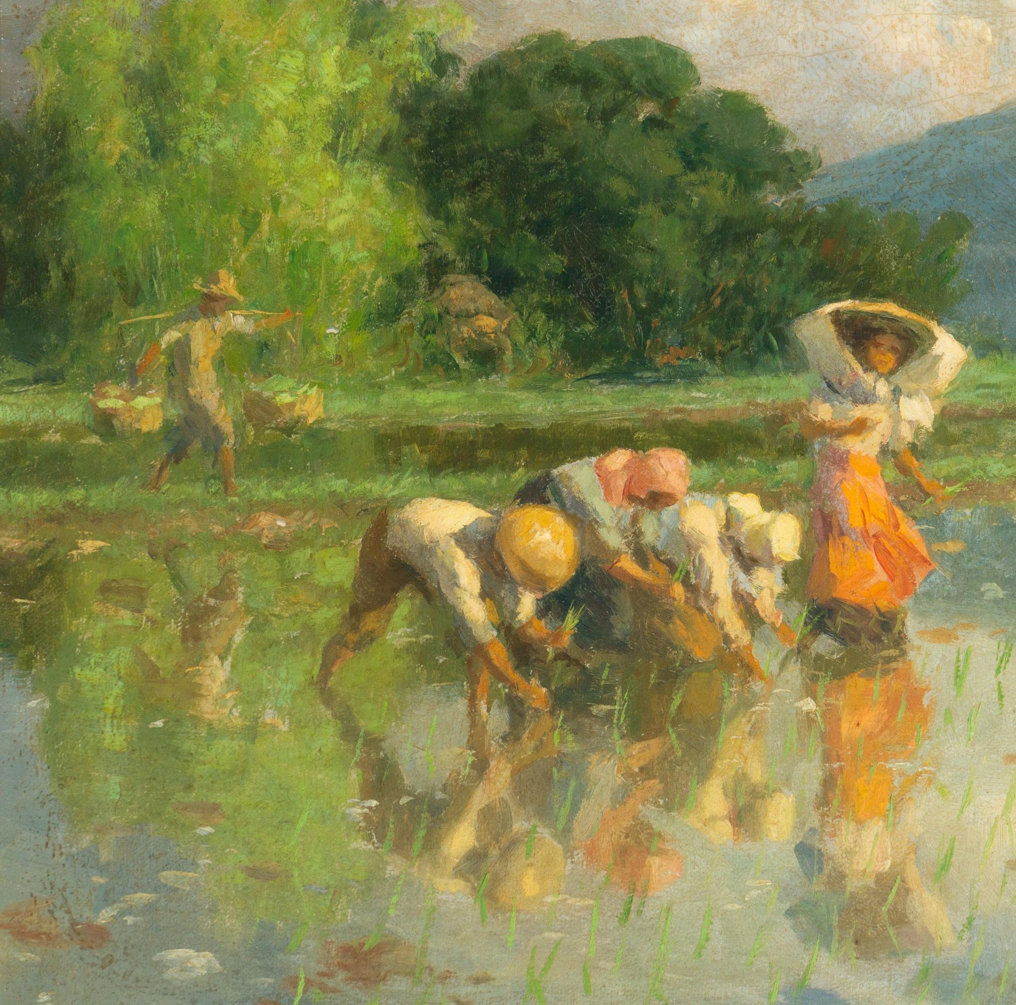 Workers in Rice Field , 1952