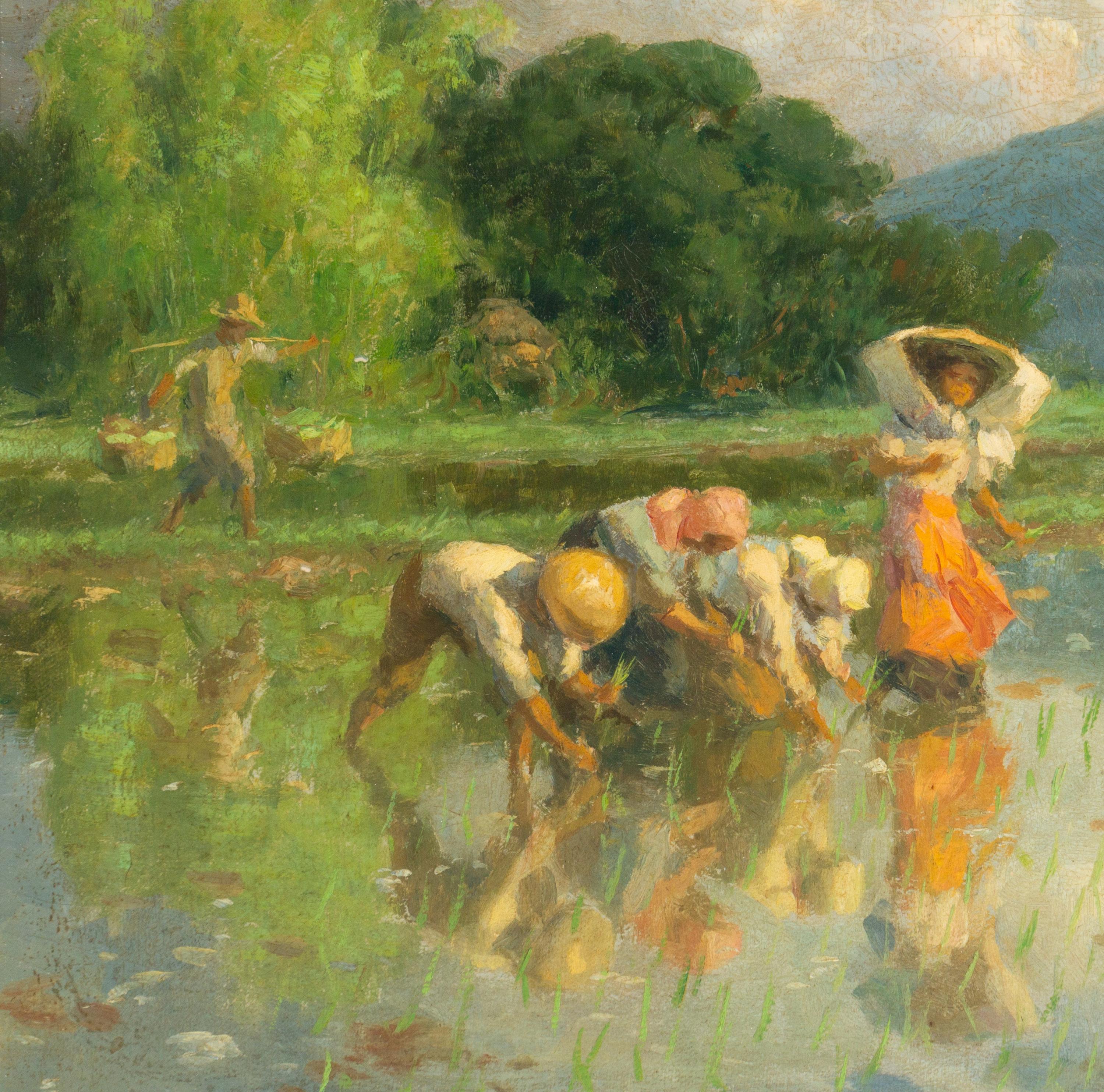 Workers in Rice Field , 1952