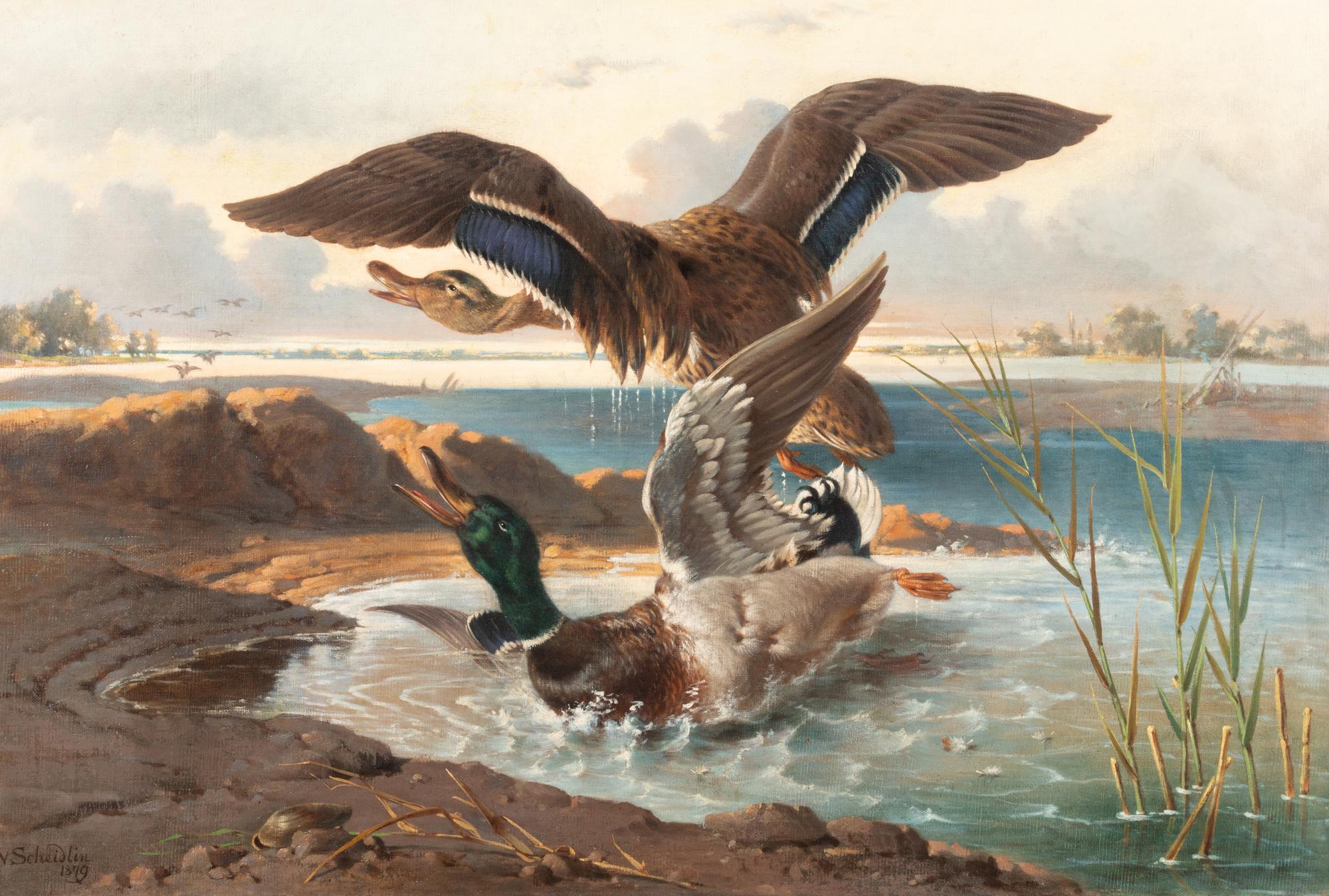 Ducks, 1879