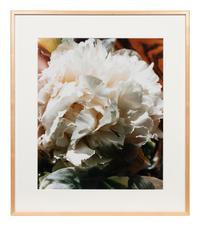 A group of three works (Get These Flowers Off My Head; Intensity II; Winter Scene)