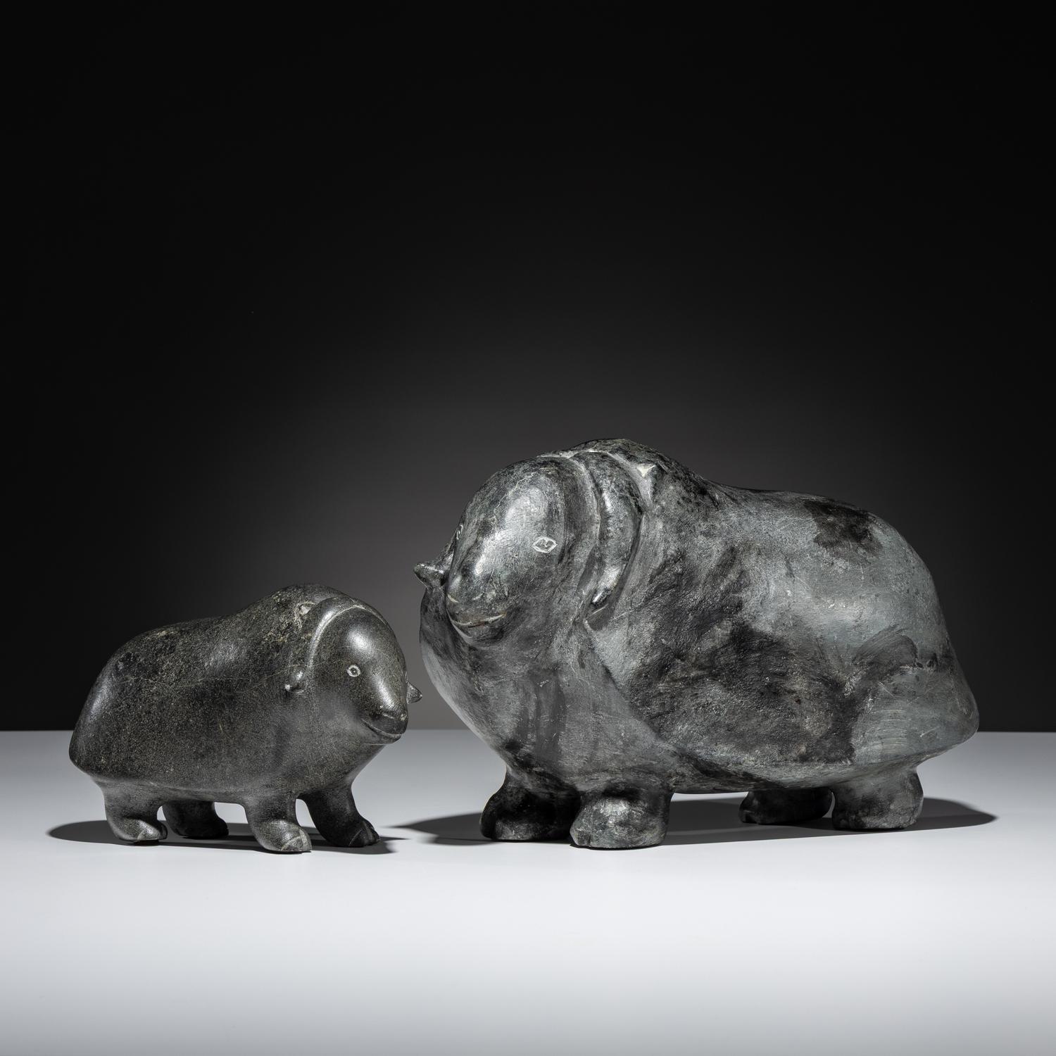 Muskoxen