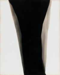 Haloid Platino , expiration ca.1915; processed 2008