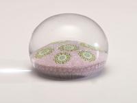 A Saint Louis Carpet-Ground Concentric Millefiori Glass Paperweight