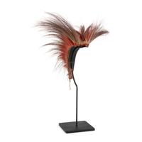 Northern Plains Hair Roach