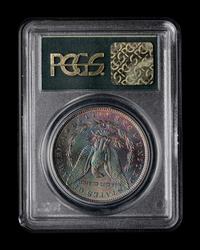 A Well-Toned Reverse 1886 Morgan $1 Coin (PCGS MS65)