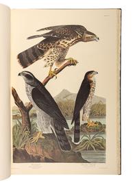 AUDUBON, John James (1785-1851). The Birds of America . New York and Amsterdam: Johnson Reprint Co. & Theatrum Orbis Terrarum [i.e. Nico Israel], 1971-1972.