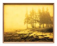 Two Joyce Tenneson Photographs