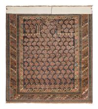 A Shirvan Prayer Rug